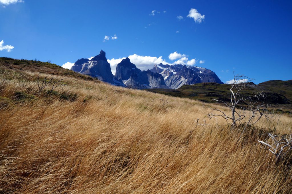 Parque Nacional Torres del Paine - Salto Grande del Paine